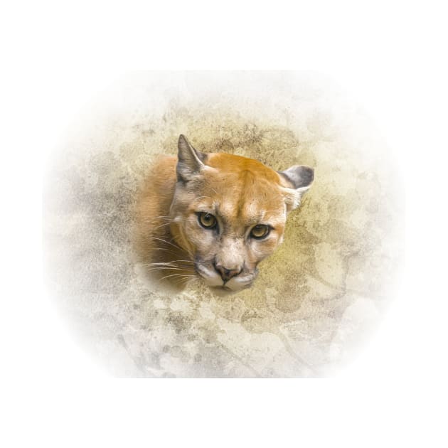 Mountain lion by Guardi