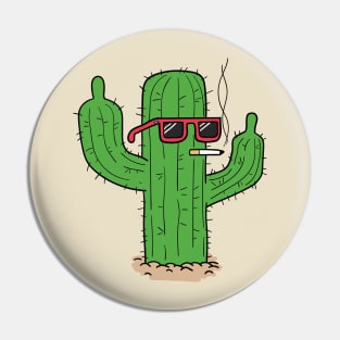 Don't mess with the desert Pin