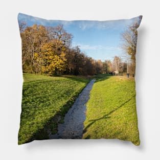 Small pond in a nature with a walkway in autumn Pillow