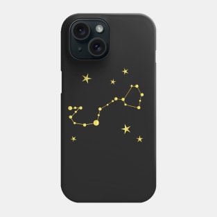 Scorpio sign Phone Case