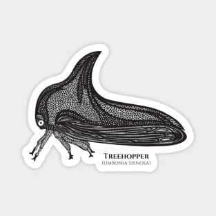 Treehopper with Common and Latin Names - on white Magnet