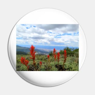 Grand Mesa Flowers Pin