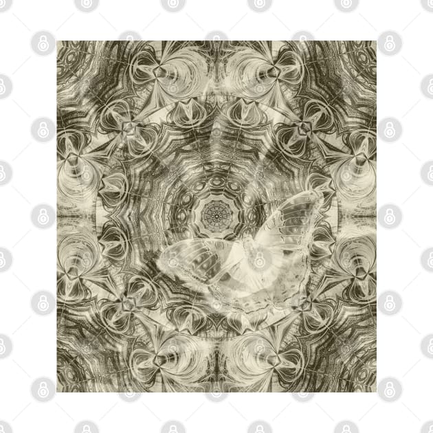 Ghostly butterfly on delicate mandala by hereswendy