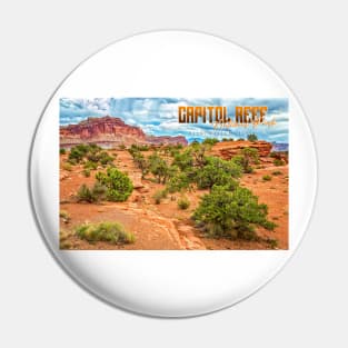 Capitol Reef National Park Pin