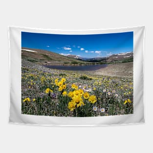 Summer in the Mountains Tapestry