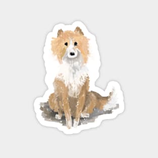 Sable Rough Collie Dog Magnet