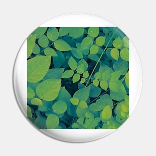 Green And Yellow Leaves Pin