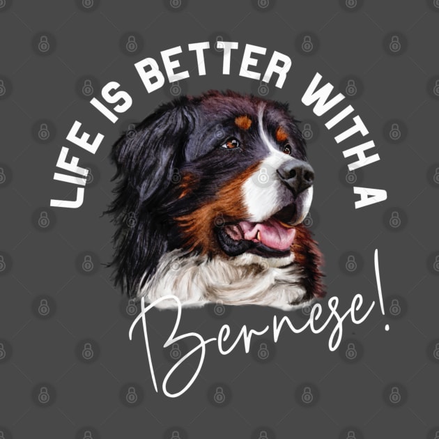 Bernese Mountain Dog by Bernesemountaindogstuff