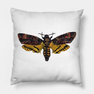 Death's Head Moth Pillow