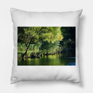 The Pond... Pillow