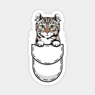 Funny American Curl Pocket Cat Magnet