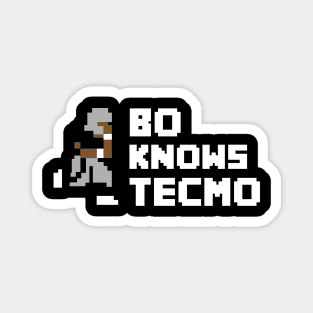 Bo Knows Tecmo Magnet