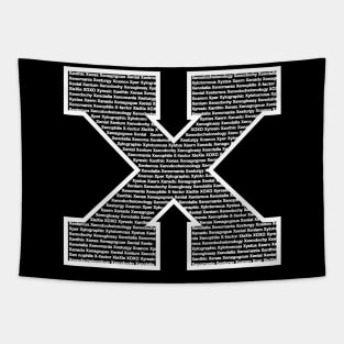 X White Tapestry