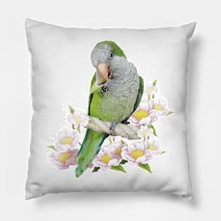 parrot Pillow