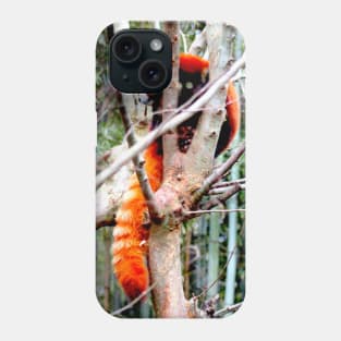 Red Panda Phone Case