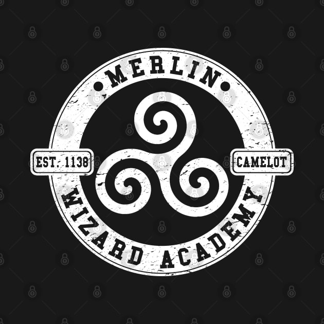 Merlin Wizard Academy by nickbeta