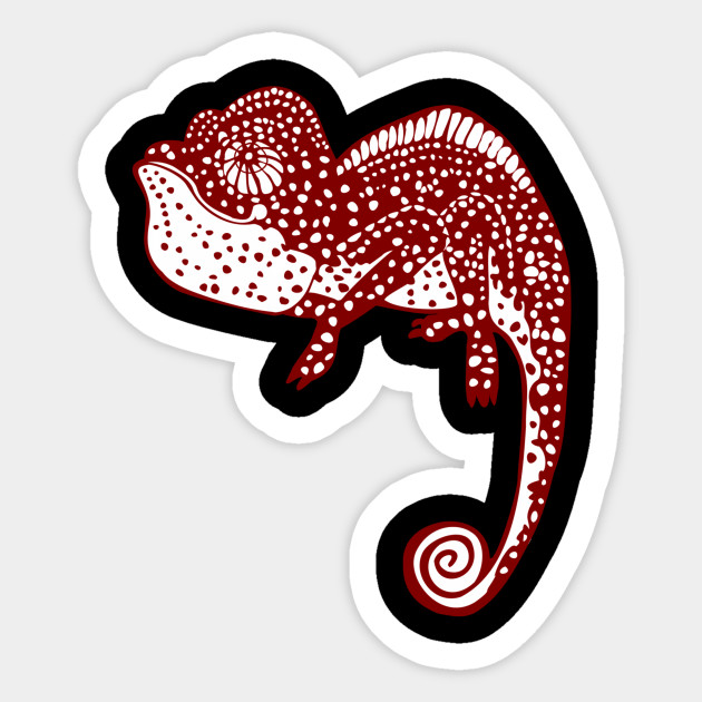 Chameleon Lizard Reptile Nature Animal