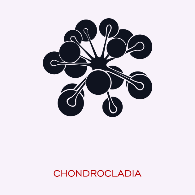 Chondrocladia by masha