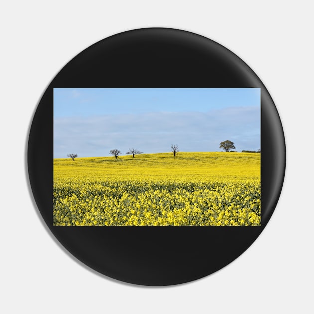 Rapeseed Field Pin by Irene168