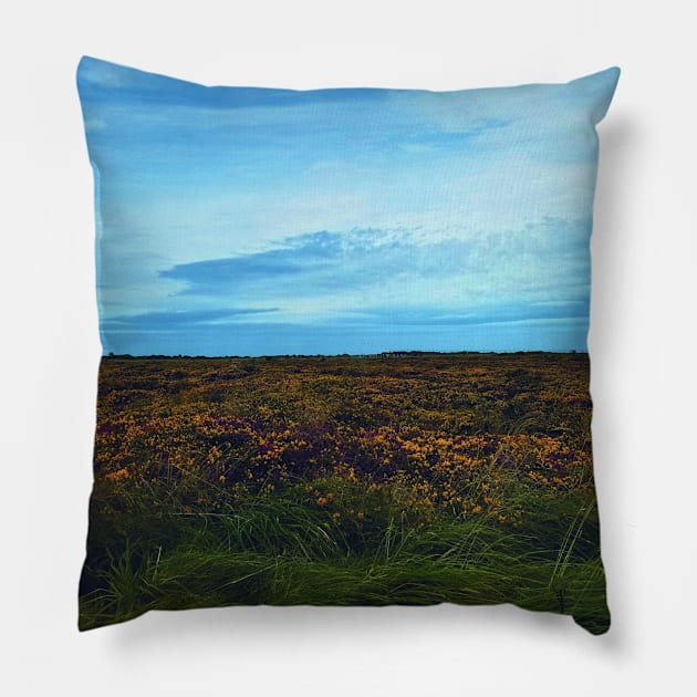 Heather & Gorse Pillow by Kyarwon