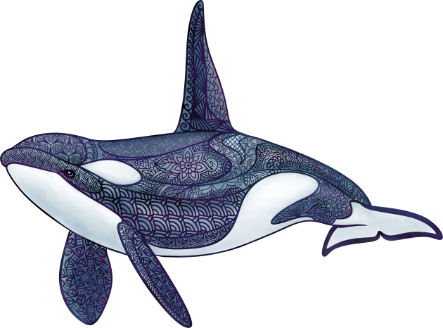 Orca Zentangle Kids T-Shirt by Hareguizer