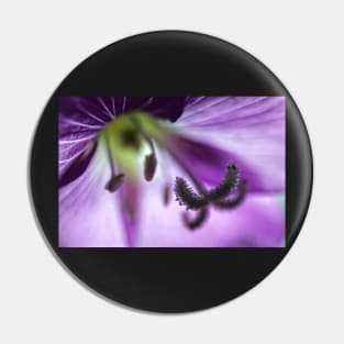 Great Willowherb Wild Flower macro Pin