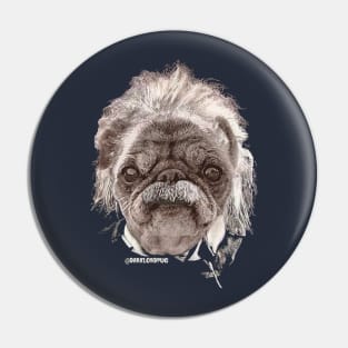 Albert einstein Pin