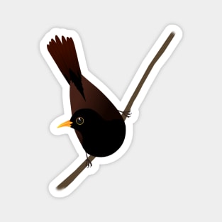 Blackbird sitting on a diagonal branch Magnet