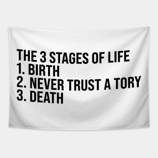 The 3 Stages of Life Tapestry