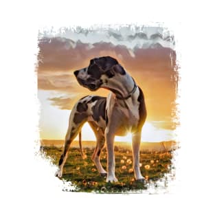 Great Dane At Sunset T-Shirt