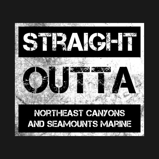 Straight Outta Northeast Canyons and Seamounts Marine National Monument Vintage Distressed Souvenir by NickDezArts