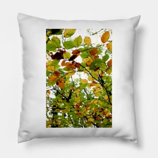 Colourful Autumn Leaves Pillow