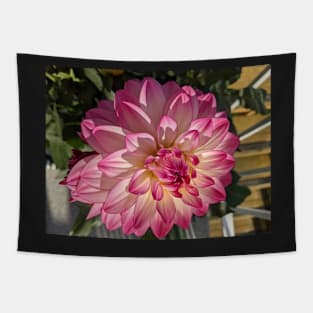 Soft pink petals Tapestry