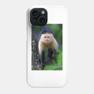 Capuchin monkey - Costa Rica Phone Case