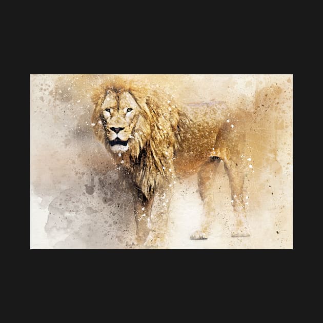 Lion Wild Animal Safari Africa Jungle by Cubebox