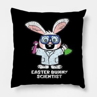 Easter Bunny Scientist Cute Rabbit Science Teacher Students Pillow