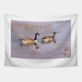 Canada Geese in Winter Tapestry