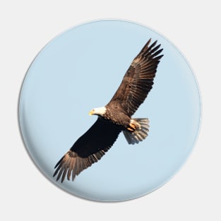 Flying Eagle Pin