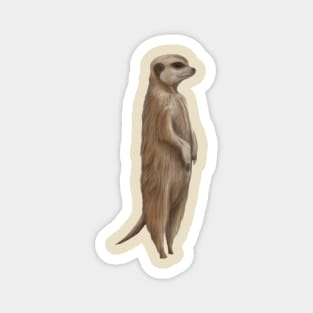 Its a Meerkat Magnet