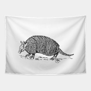 Armadillo walking along Tapestry