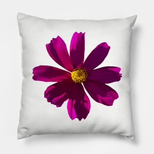 Dark Pink Cosmos Photo Pillow