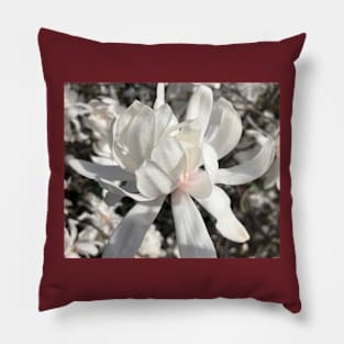 Whte Spider Magnolia Pillow