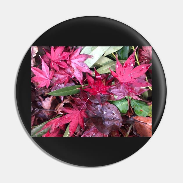 Rainy Red and Green Christmas Leaves on the Forest Floor Pin by Photomersion