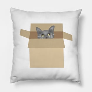 Cat in the box Pillow