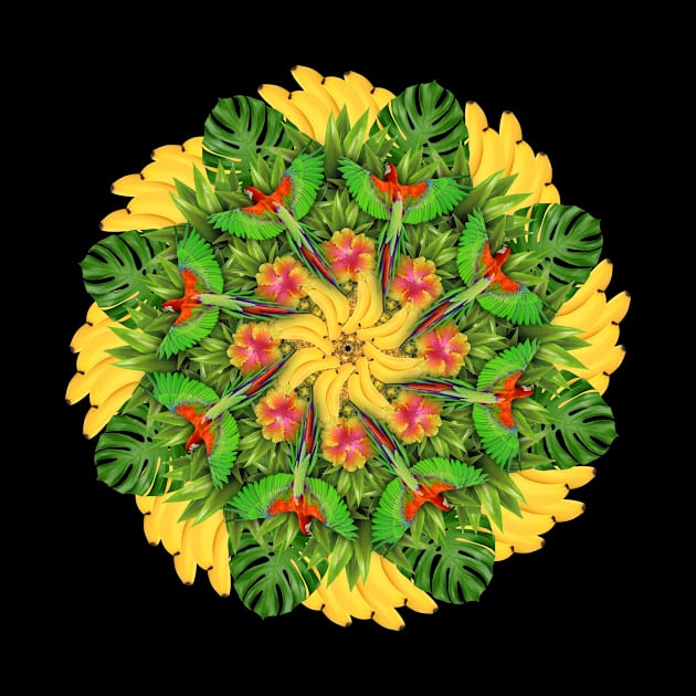 tropic parrots mandala by burenkaUA