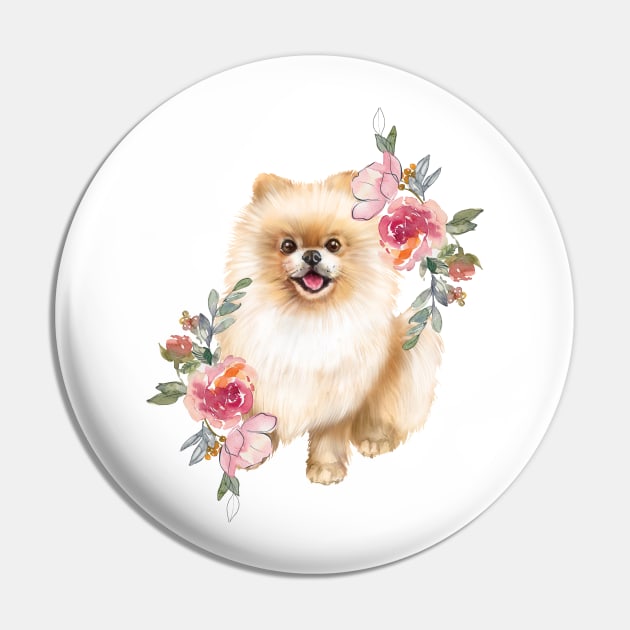 Pin on Pomeranians