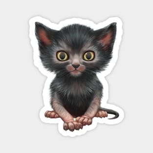 Cat-a-clysm lykoi kitten Magnet