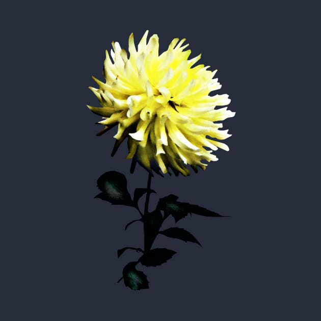 One Yellow Dahlia by SusanSavad