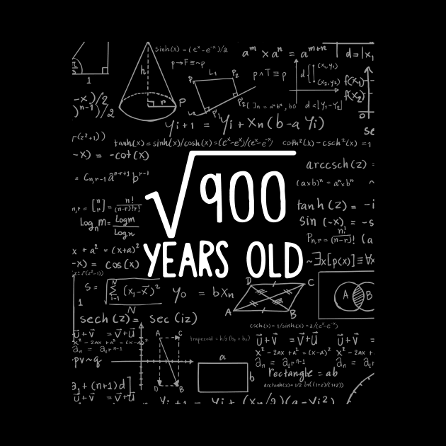 Square Root of 900: 30th Birthday 30 Years Old T-Shirt by johnii1422