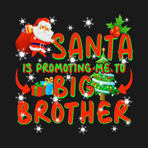 Promoted To Big Brother Christmas by Nifty T Shirts
